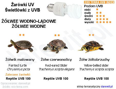 Jakie żarówki UVB wybrać dla żółwi wodnych, sklep terrarystyczny Warszawa